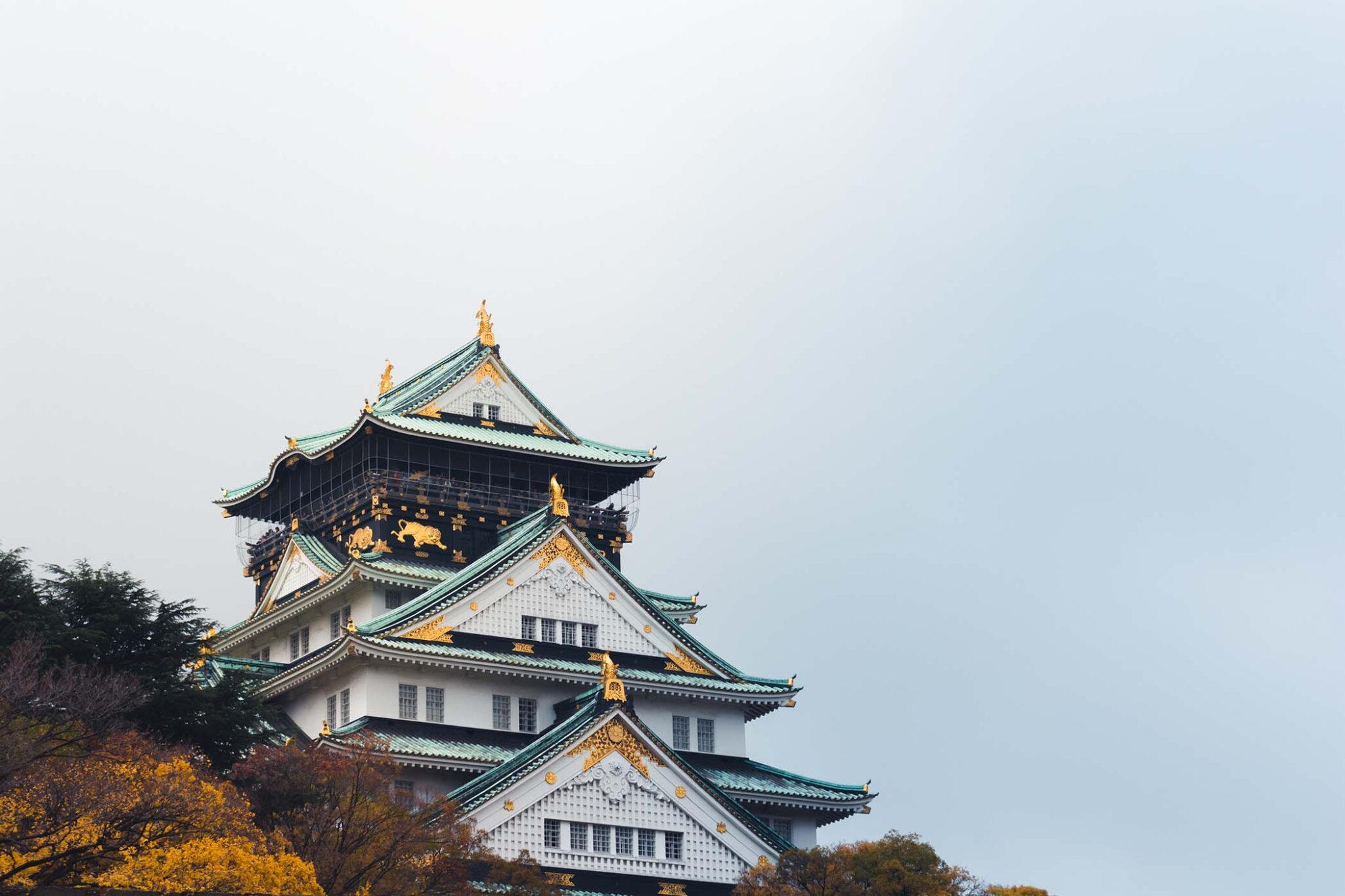 exterior-view-of-nagoya-castle-in-nagoya-japan-HXT5EJT.jpg